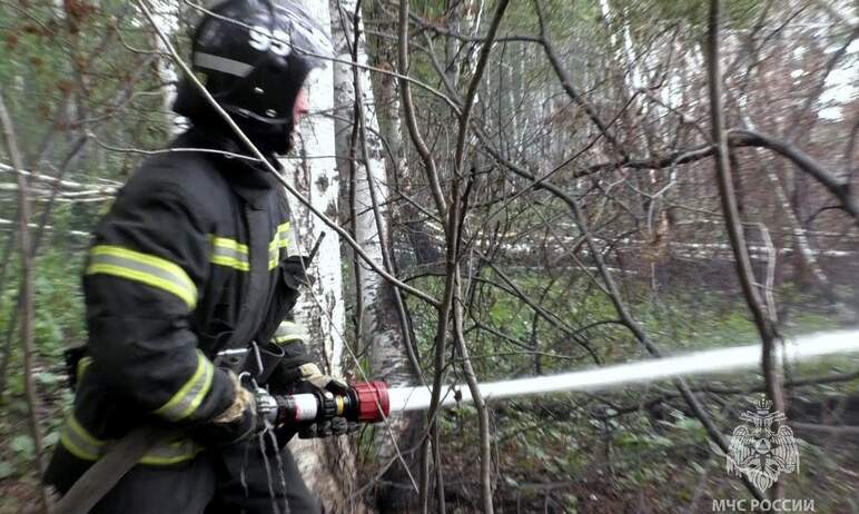 В Аргаяшском муниципальном районе (Челябинская область) ведется борьба с торфяным пожаром, сложно