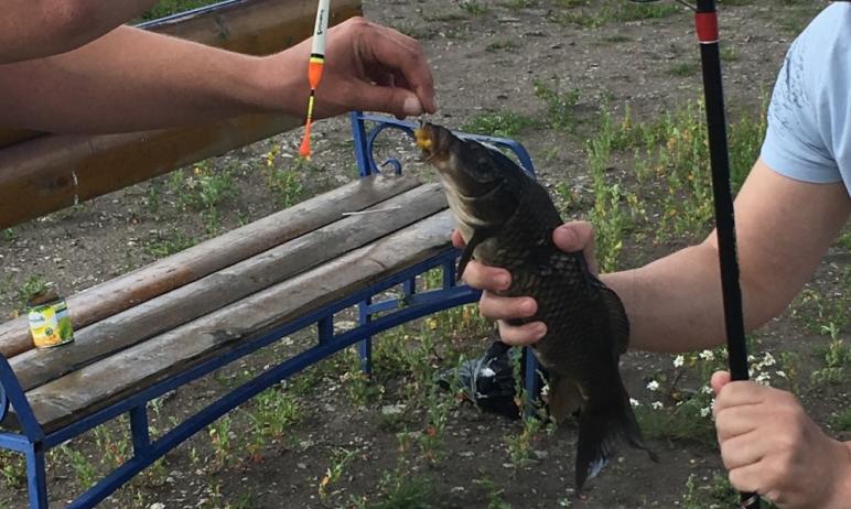 В Челябинской области отмечается тенденция к снижению количества нарушений в области рыболовства 