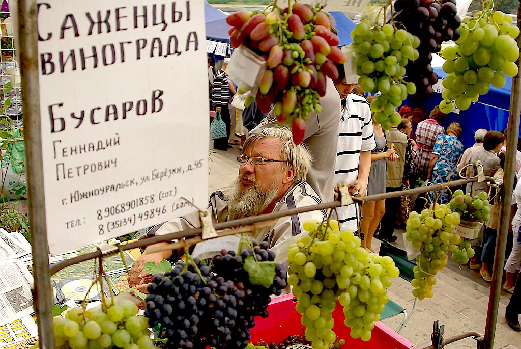 Самая крупная аграрная выставка региона во всем разнообразии представит лучшее, что производится 