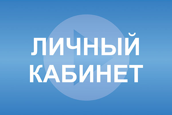 Воспользовавшись интерактивным сервисом, жители Челябинска и области, а также представители юриди