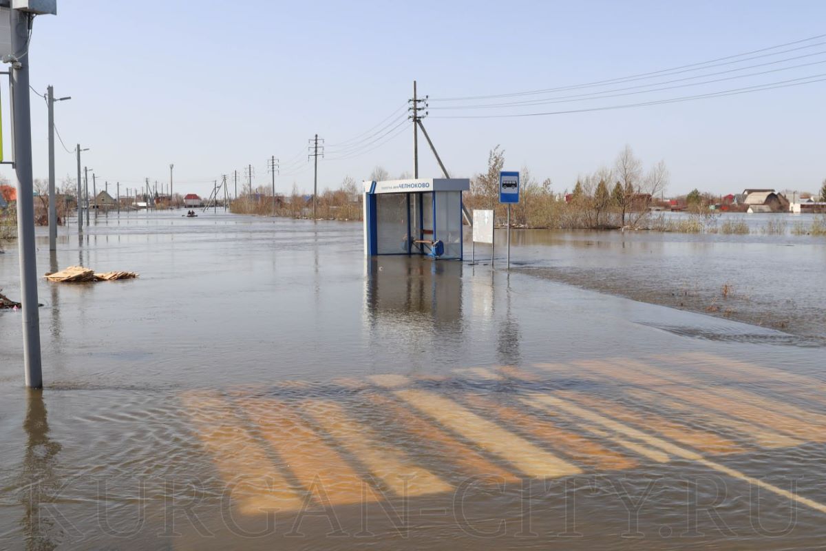 Южноуральцам рекомендуют 21 апреля отказаться от поездок в Курганскую  область | Урал-пресс-информ