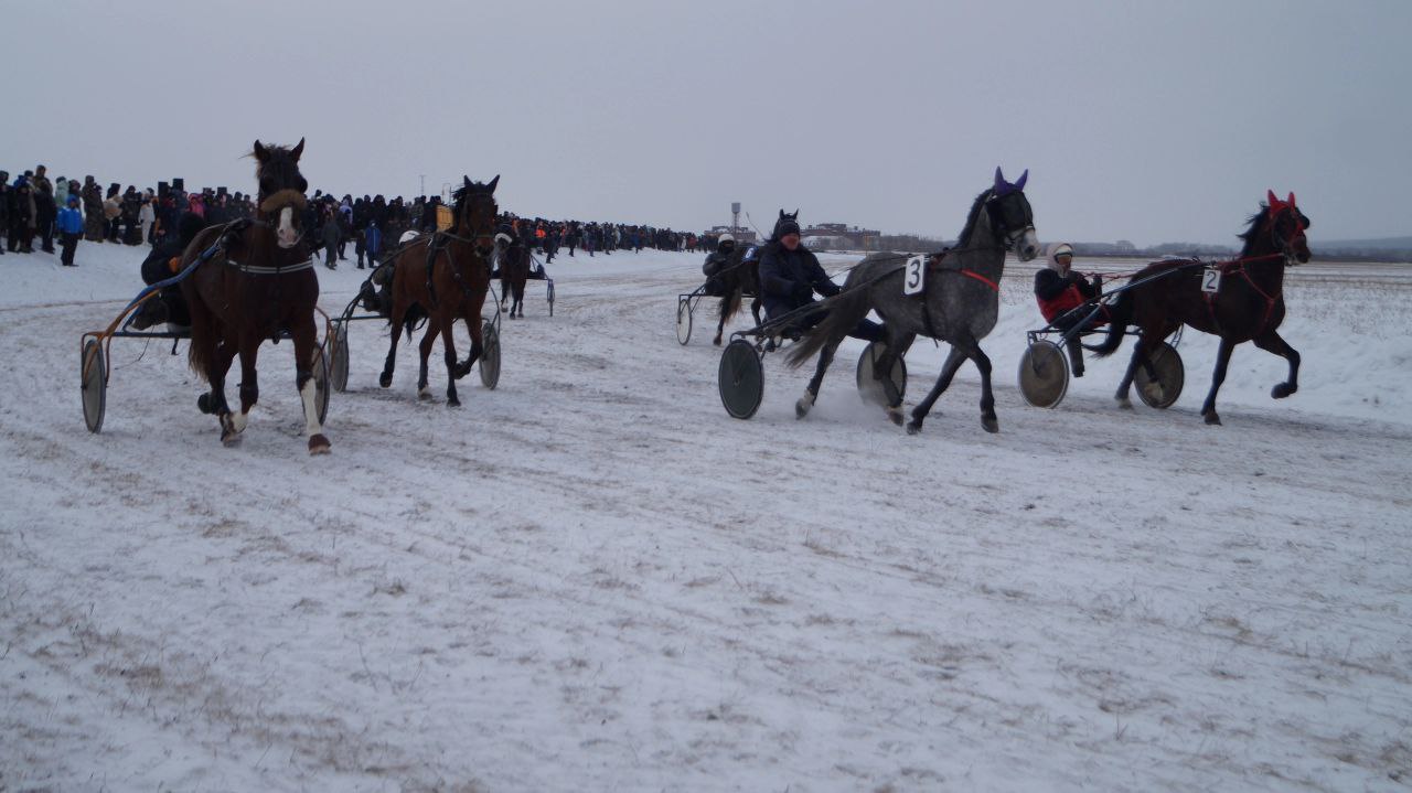 Азарт, традиции и «Аламан-байга»: Верхнеуральск приглашает на конные скачки