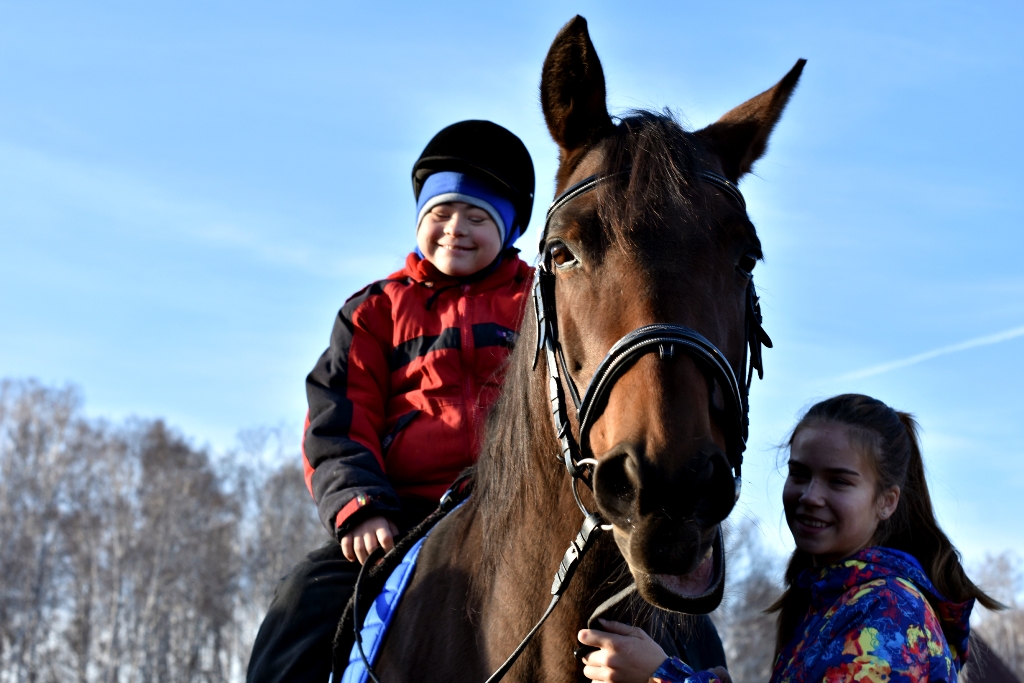 Добрая лошадка. Добрая лошадка Челябинск. Фотографии детей с ОВЗ С лошадями как они ухаживают за ними.