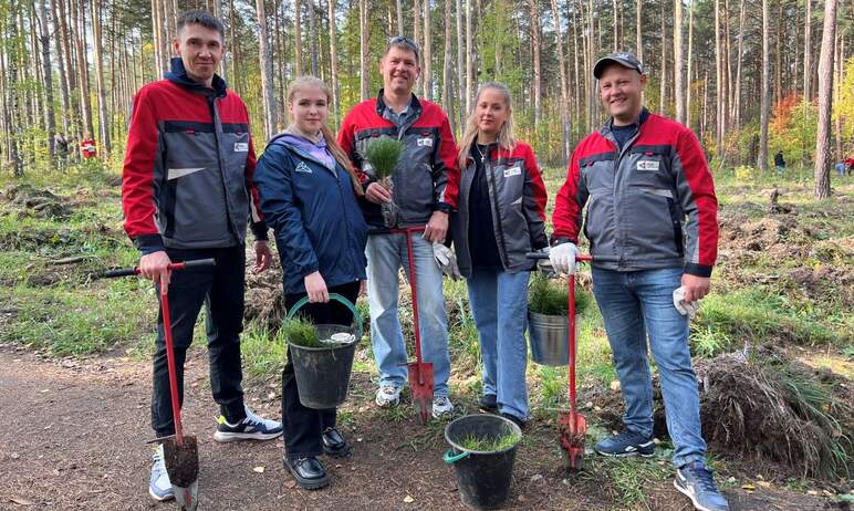 Волонтёры Томинского ГОКа приняли участие во Всероссийской акции по высадке деревьев «Сохраним ле