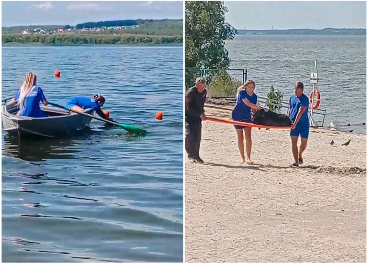 на челябинском пляже