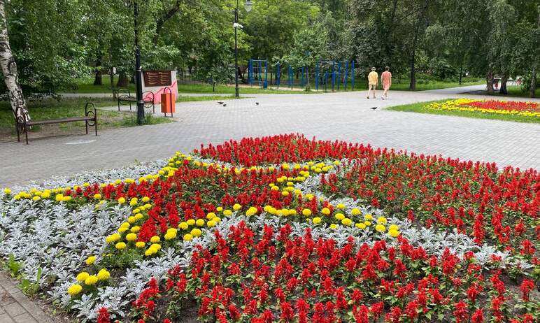 В Центральном районе Челябинска завершена высадка однолетних цветов – клумбы получились очень ярк