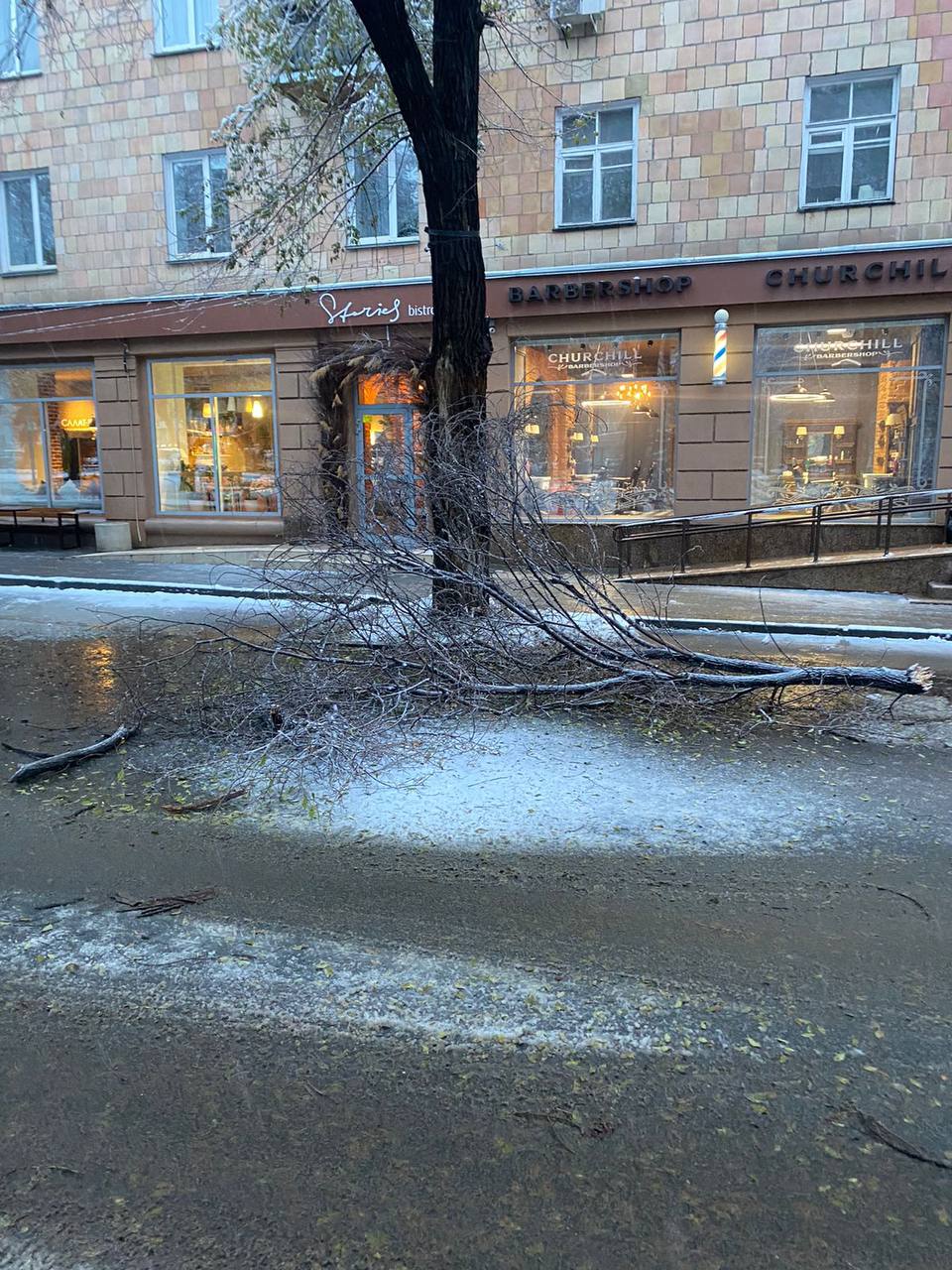 В Челябинске под тяжестью мокрого снега падают деревья, жителей призывают к  осторожности | 14.11.2022 | Челябинск - БезФормата