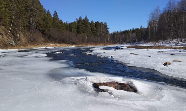 Весна в Челябинской области все решительнее вступает в свои права: в национальном парке «Зигальга