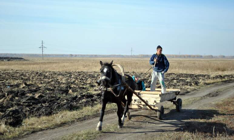 В Челябинской области обнулят ставку единого сельскохозяйственного налога (ЕСХН) для сельхоз