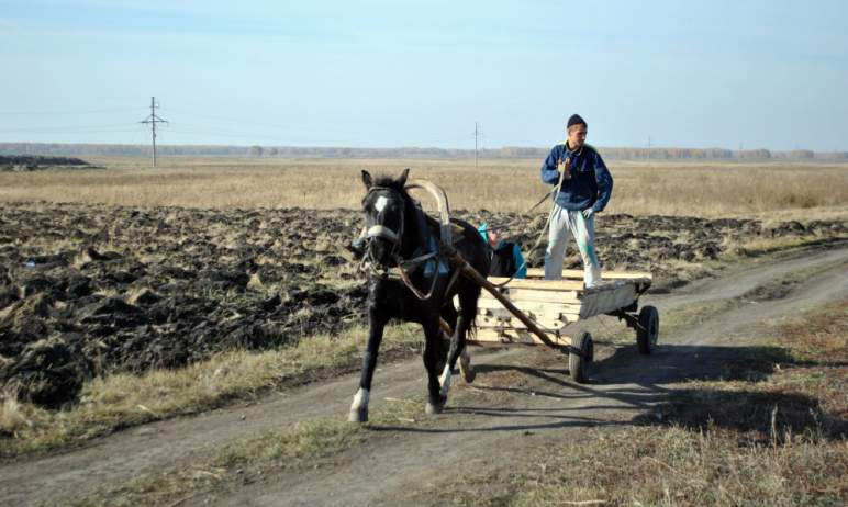 Челябинская область пятая в России по доведению субсидий аграриям