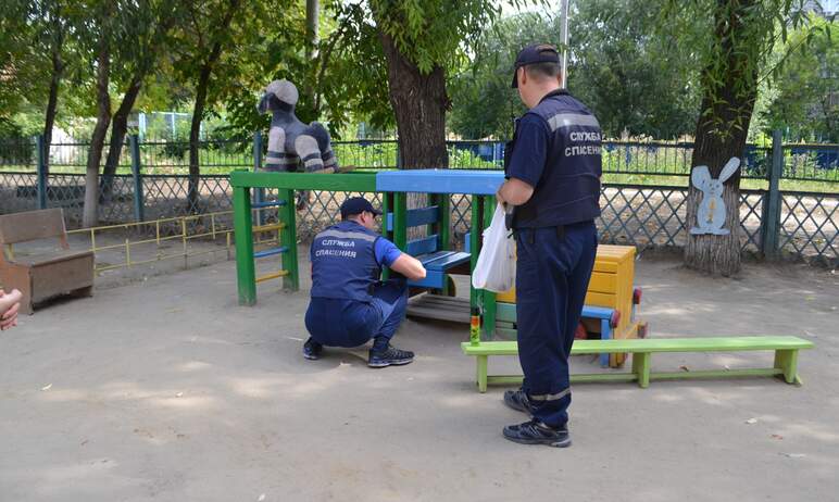 В Челябинске спасатели ликвидировали пчелиный улей в детском саду №234, получив сигнал о проблеме