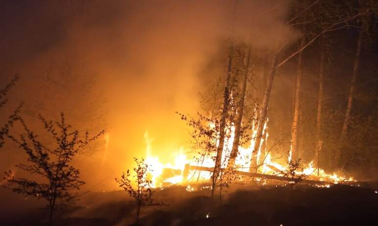 Шесть лесных пожаров было зарегистрировано на территории Челябинской области девятого мая. За нед