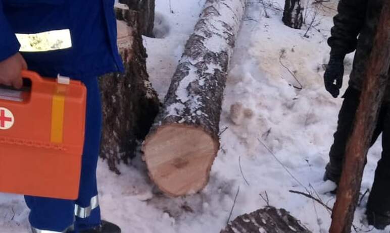 Под Кыштымом (Челябинская область) спиленное дерево, падая, придавило лесоруба – рабочий 1983 год