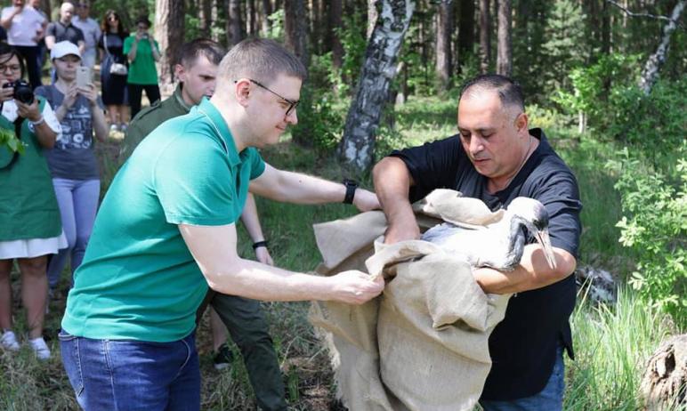 В воскресенье, 23 мая, в Челябинской области вернулись в естественную среду обитания дикие животн