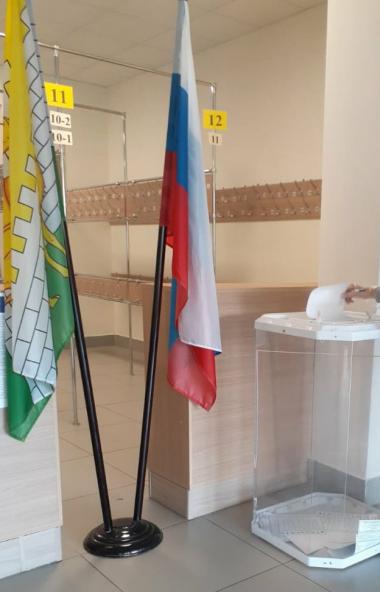 В Челябинской области по итогам второго дня досрочного голосования явка составила 17,81 %, прогол