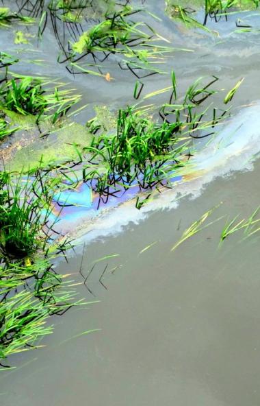 Министерство экологии Челябинской области проверит информацию о появлении масляных пятен на реке 