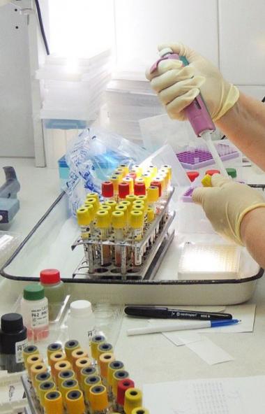 За прошедшие сутки в России официально подтверждено 8 тысяч 595 новых случаев коронавирусной инфе