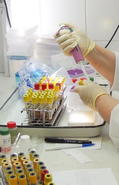 За прошедшие сутки в России официально подтверждено 8 тысяч 779 новых случаев коронавирусной инфе