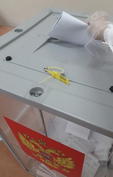 В Челябинской области по состоянию на 20 часов явка на выборах депутатов Законодательного собрани