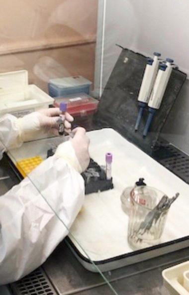 В Челябинской области начнут тестировать на коронавирусную инфекцию Covid-19 работников правоохра