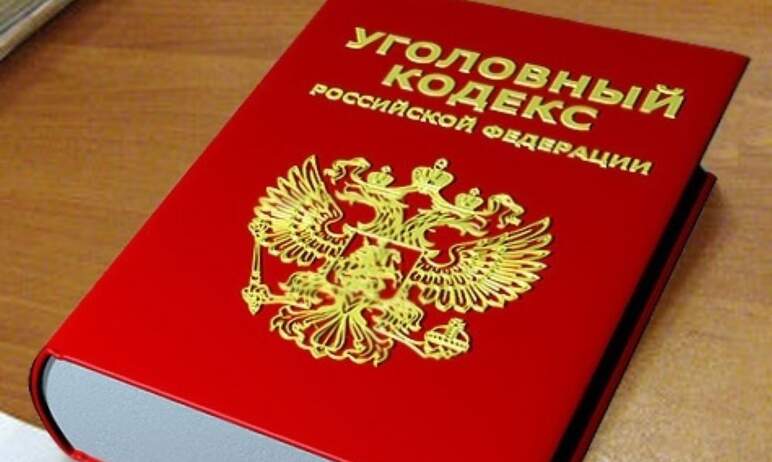В Челябинске полиция возбудила уголовное дело в отношении местной жительницы, чей ребенок оказалс
