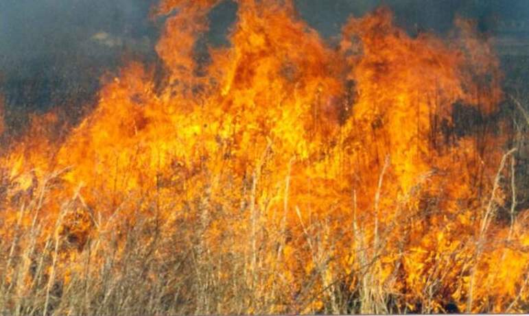 В Нагайбакском районе успешно ликвидирован ландшафтный пожар вблизи села Париж, разгоревшийся вче