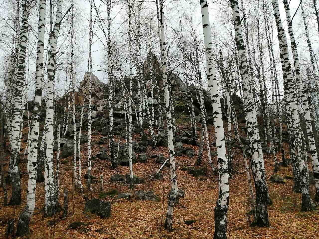 гора семибратка златоуст