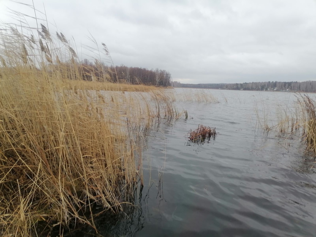 Новости с водоемов челябинская. Озеро Увильды рыбалка. Озеро садок Челябинская область. Оз. Садок. Жители озера.