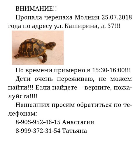 В среду, 25 июля, пользователей интернета повеселило очень забавное объявление о том, что у жител