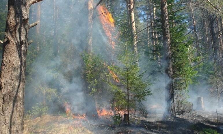 В Челябинской области с 14 ноября завершен пожароопасный сезон 2022 года
