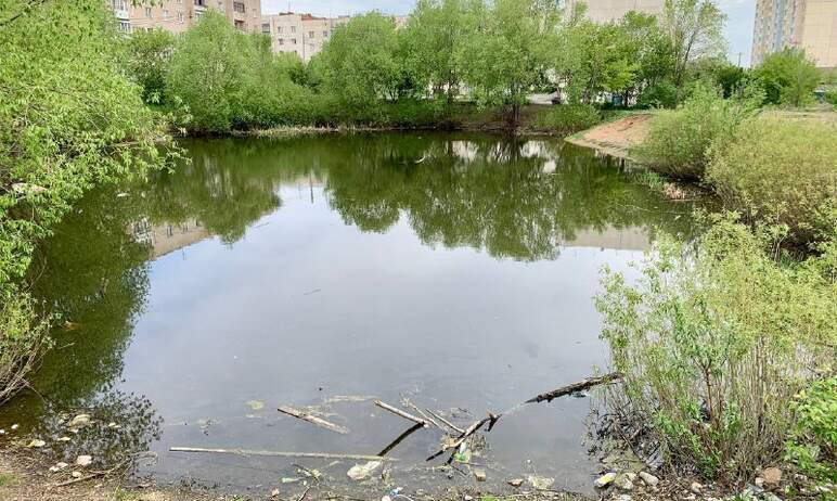 В Челябинске состоится аукцион на благоустройство пруда в поселке Новосинеглазово.

