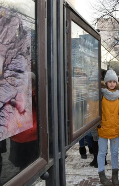 Во вторник, 10 декабря, в галерее «Открытый город» на Кировке открылась выставка работ-победителе
