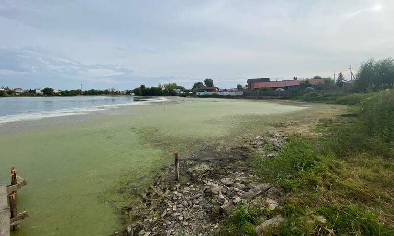 Жители Челябинской области обратили внимание региональных властей на удручающее состояние озера Б