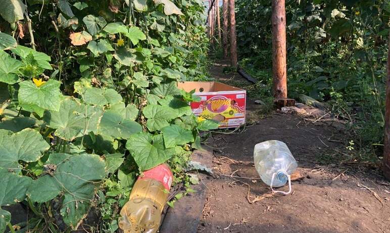 Прокуратора Челябинской области обратилась в суд с исками о понуждении арендаторов земельных учас