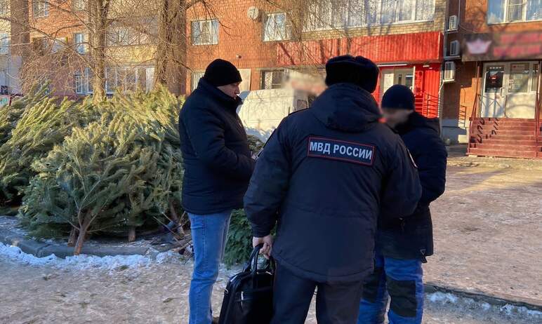 В Челябинске сотрудники полиции начали выявлять первых нарушителей торговли хвойными деревьями. Н