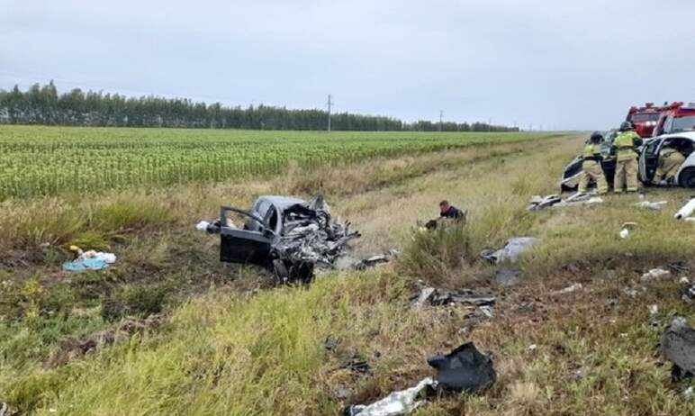 Варненский районный суд (Челябинская область) приговорил водителя, по вине которого в ДТП погибли