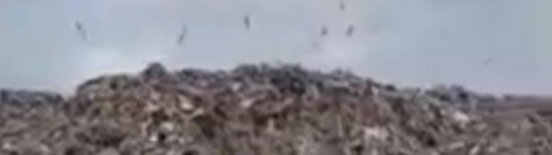 Минэкологии не планирует расширять мусорный полигон в Копейске