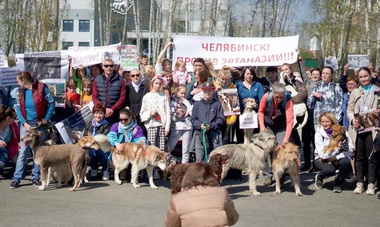 Более двухсот жителей Челябинской области собрались вчера, 29 апреля, в столице Южного Урала на м