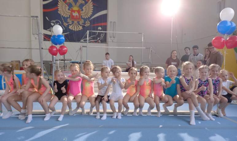 В Челябинске впервые состоятся детские соревнования по спортивной гимнастике «Кубок Урала». Состя