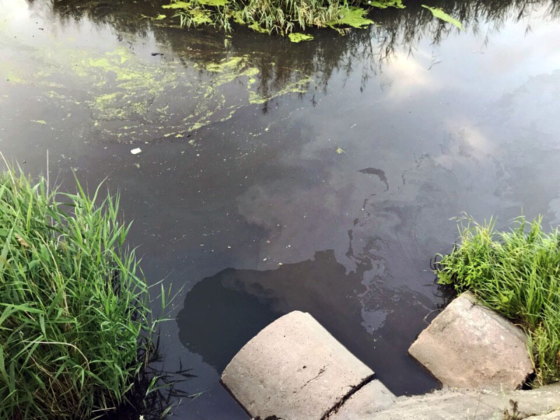 Заказать воду миасс. Река Миасс в Челябинске загрязнена. Загрязнение реки Миасс в Челябинске. Река Миасс загрязненность. Река Миасс загрязнение.