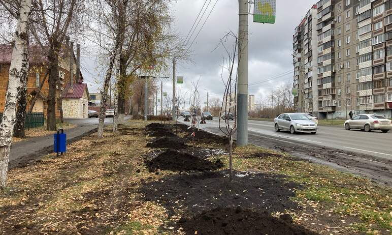 Челябинские общественники из движения «ЭКО-Стандарт» сегодня, седьмого ноября, заявили об очередн