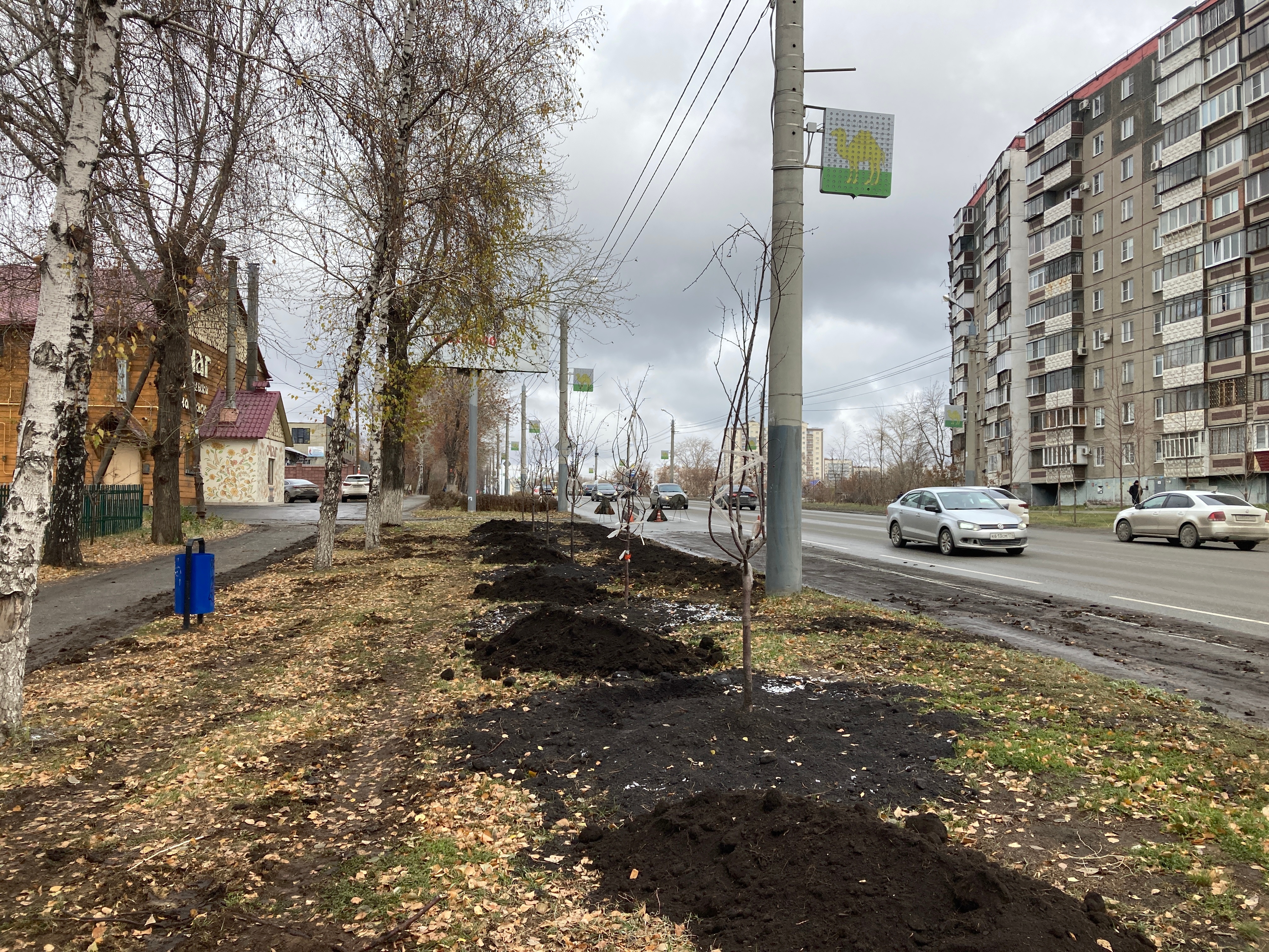 Поменяй челябинск. Челябинск. Районы Челябинска. Авария.Челябинск.07.11.2022. Фото России Челябинск дерево.