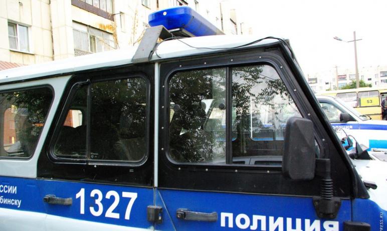 В Чебаркуле (Челябинская область) на береговой линии местного озера были обнаружены останки двух 