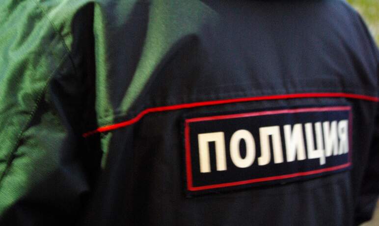 В Сосновском районе (Челябинская область) полицейские установили подозреваемого в сексуальном дом