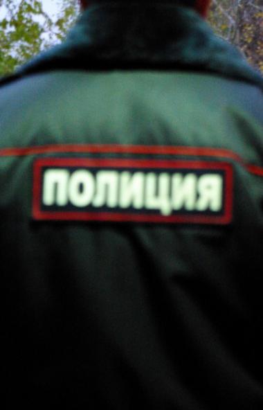 Сотрудники органов внутренних дел Российской Федерации сегодня, десятого ноября, отмечают свой пр