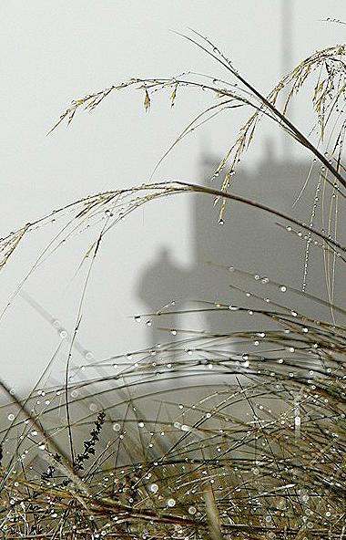 Сегодня, 18 сентября, в Челябинске проходит седьмая встреча руководителей территориальных ор