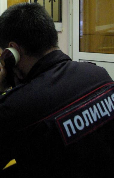 В дежурную часть полиции Верхнего Уфалея (Челябинская область) поступило два сообщения из детских