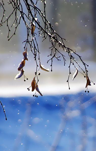 Восьмого января в Челябинской области ожидается облачная погода, пройдет небольшой снег.

