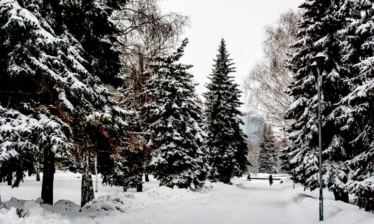 Во вторник в Челябинской области небольшой снег