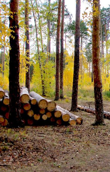 Власти Челябинской области ищут место под строительство современного онкогематологического отделе